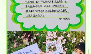 孩子从小就学习科学知识对孩子的好处 小学生科普小知识