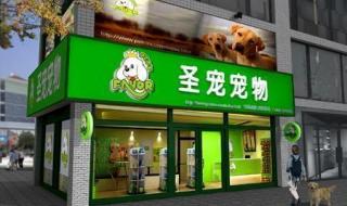 开宠物店成本分析 开家宠物店要多少钱